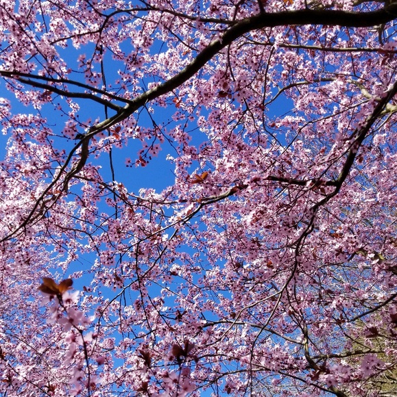 Meet your Posher, Mike - Picture 1 of 1